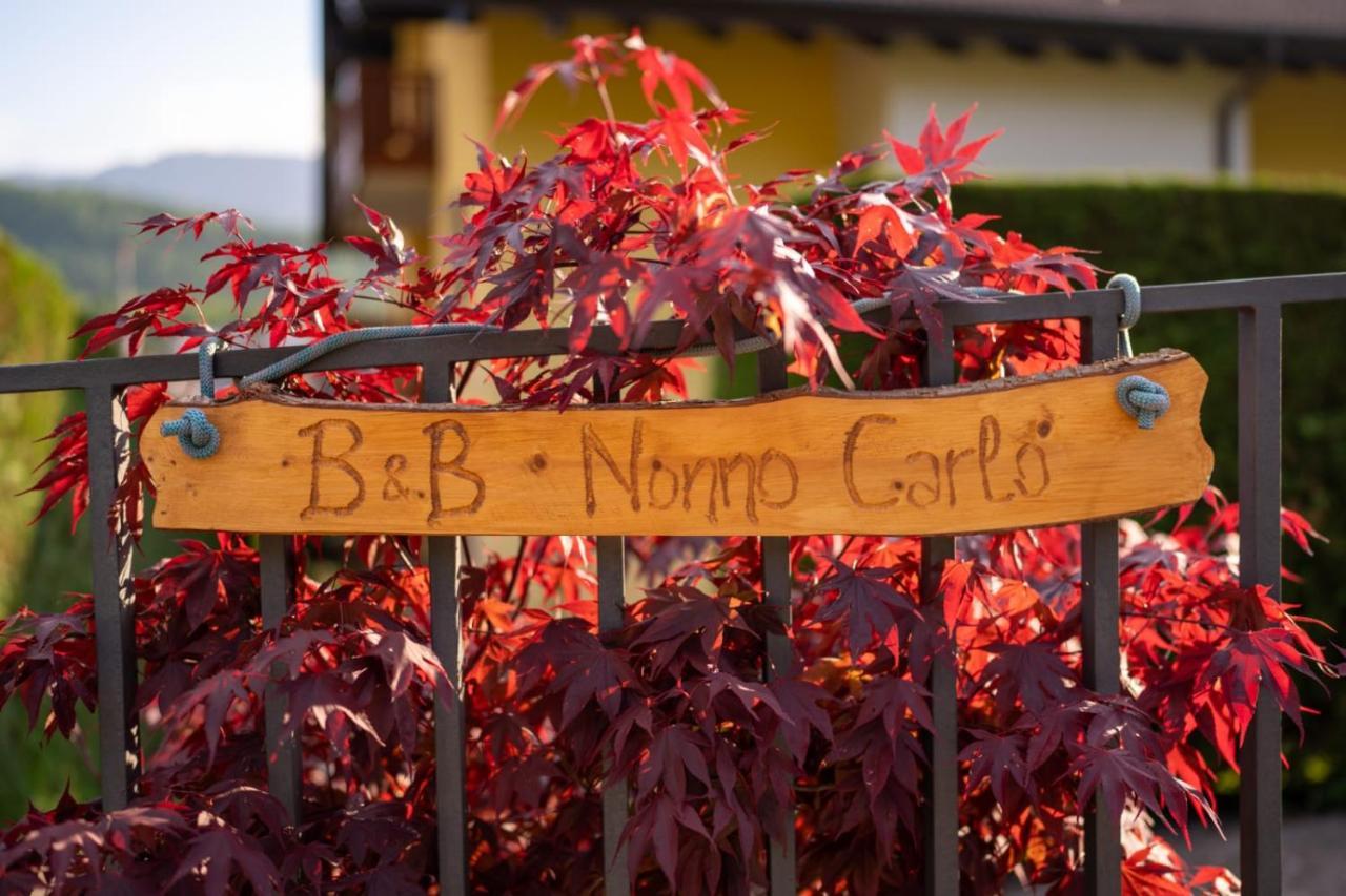 B&B Nonno Carlo เตรนโต ภายนอก รูปภาพ